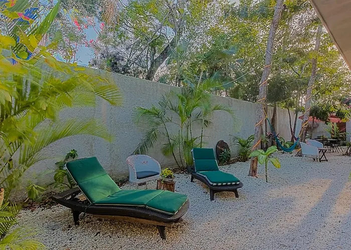 Casa de hóspedes Primitive Selfcheck-in Adults Only