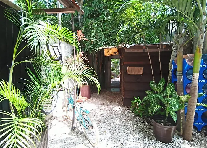 Primitive Selfcheck-in Adults Only Casa de hóspedes Tulum