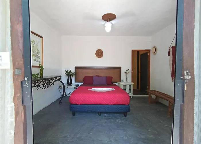 Primitive Selfcheck-in Adults Only Tulum
